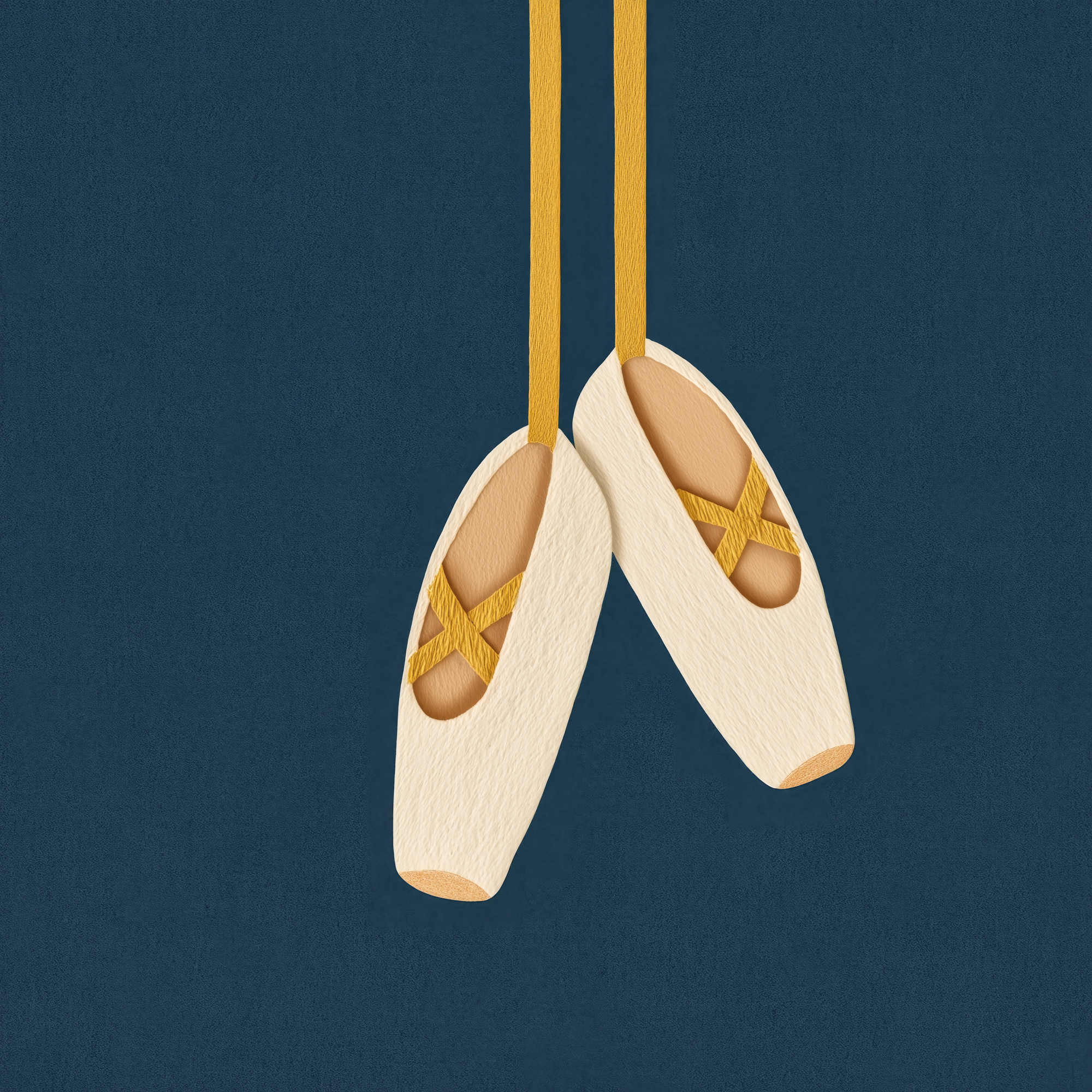 Ballet Pointe Shoes